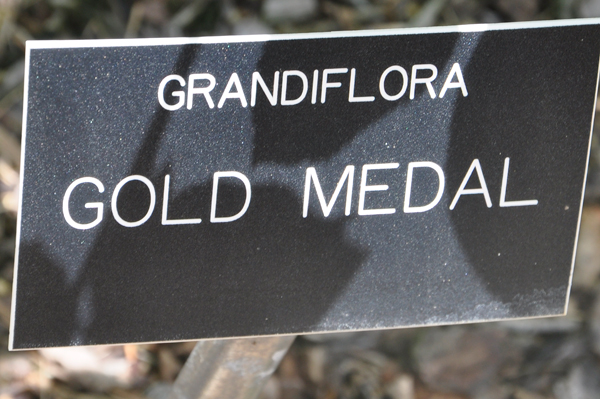 sign: Grandiflora: Gold Medal